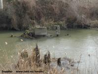 Imagine atasata: Bega - 2015.01.17 - 144.jpg